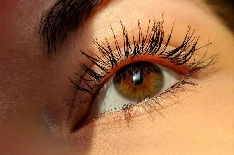 close-up of a woman's eye with mascara